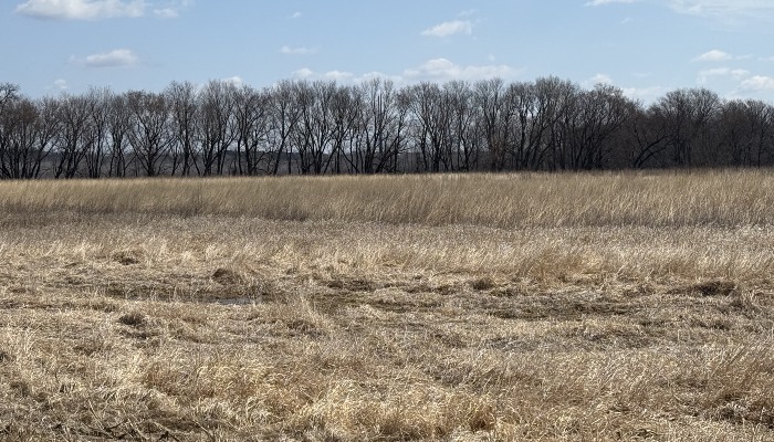 Playing the long game with conservation 