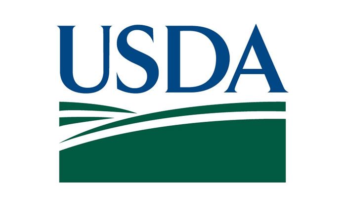 USDA reports big corn comeback for 2025 
