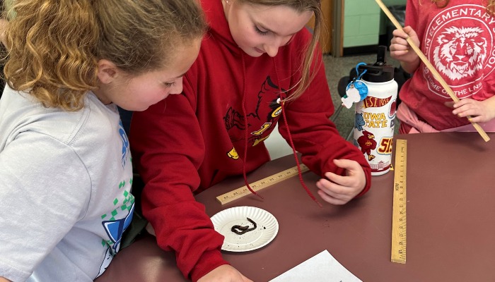 Earthworms: Nature's Little Helpers