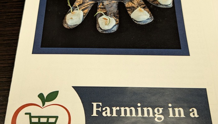 Students explore new ways of growing seeds for observation. 