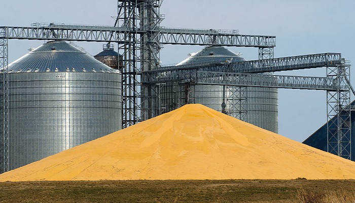 Grain Indemnity Fund overhaul advances through Iowa Senate 
