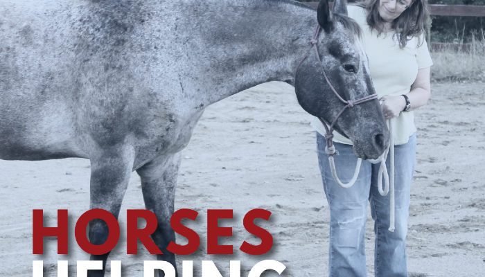 Horses Helping Heroes, Warrior Wednesdays at Jester Park