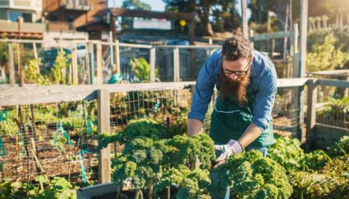 Registration open for May 1 webinar: Business Planning for Urban Farms