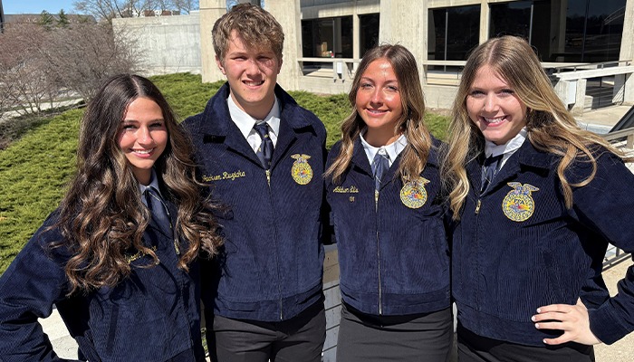 FFA excellence on display 