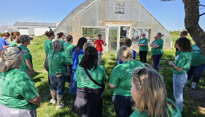 Teacher workshop available in June