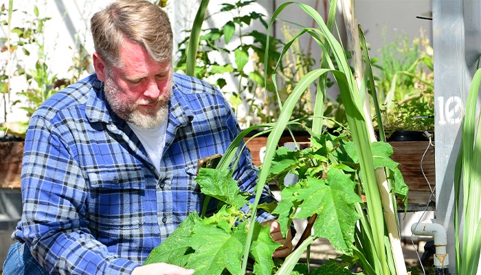 New herbicide labels require understanding 