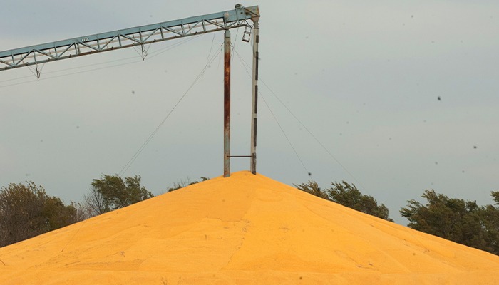 Trade valued by corn and beef producers 
