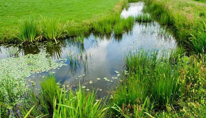 14 Urban Water Quality Projects Announced