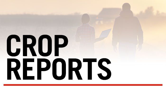 Iowa’s premier weekly crop reports 5-7-2025 