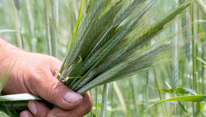 Upcoming conservation field days | May 16 update