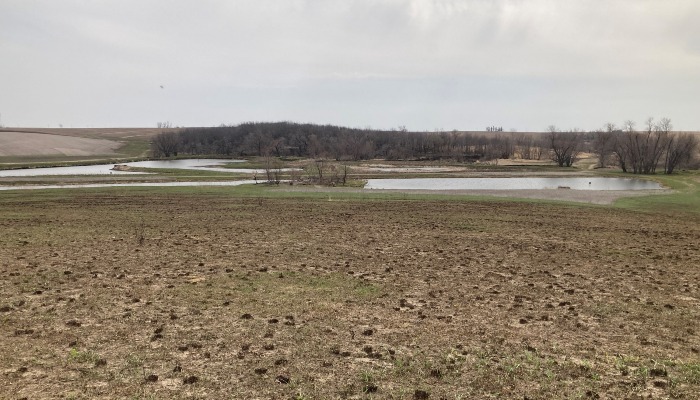 Wetland and Prairie Field Day to be held near Haverhill June 12