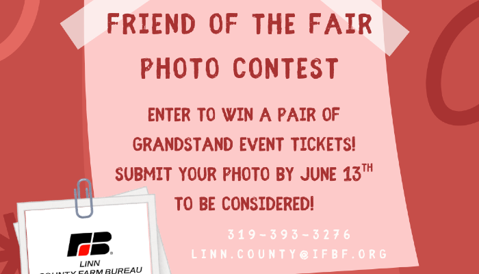 Friend of the Fair Contest