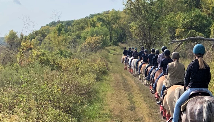 Guided trail rides at Jester Park this summer!