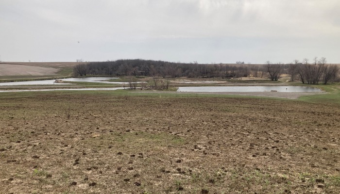Wetland and prairie field day to be held near Haverhill June 12