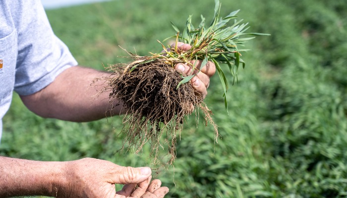 Upcoming conservation field days | June 6 update