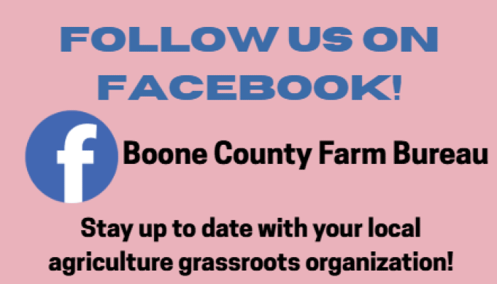 Follow us on Facebook!