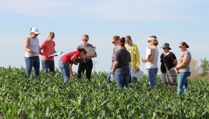 Crop Walk series to offer scouting and soil fertility tips 