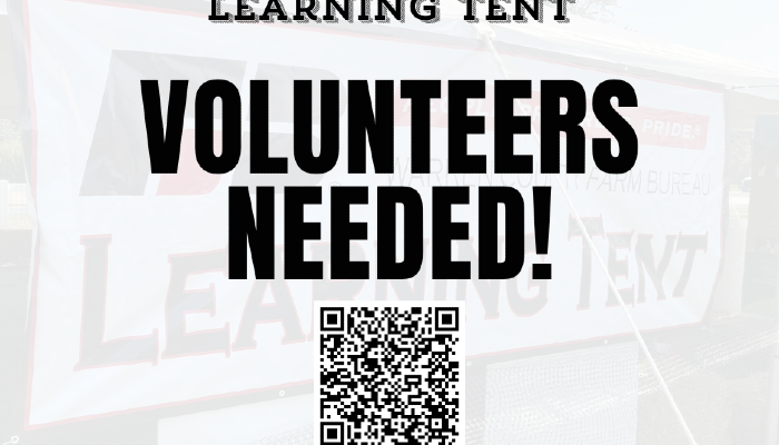Volunteer to help with Little Farm Hands 