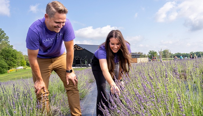 Fields of purple and promise 