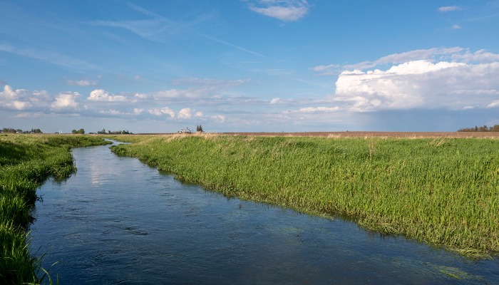 Upcoming conservation field days | July 18 update 