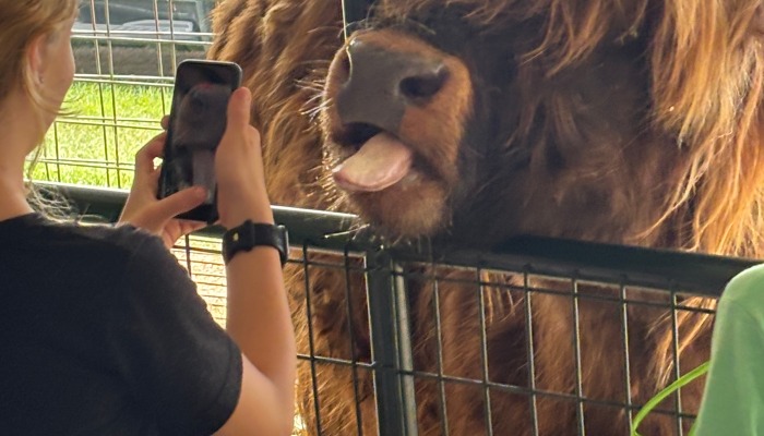 Johnson County Fair Week fun