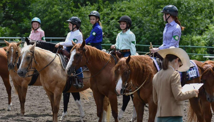 Story County Youth Fair celebrates youth excellence 