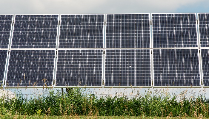 USDA cuts funding for solar projects on farmland 