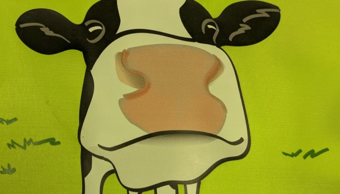 Adopt a Cow through Discover Dairy 
