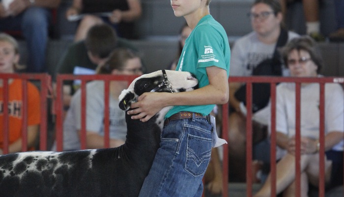  Hard work shines at the Marion County Fair
