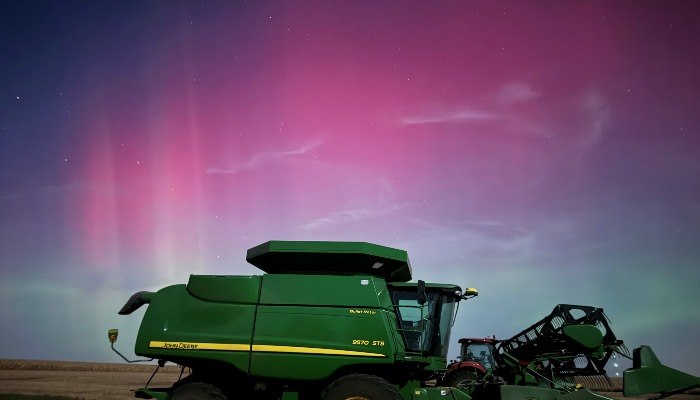 Snapshot of the Season