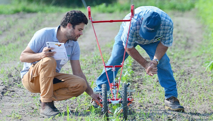 Field day focuses on mechanical weed control 