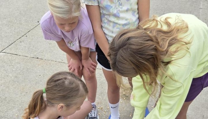 Students learn how combines help at harvest