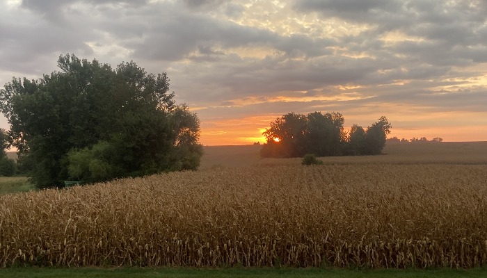 Third winner of 2025!