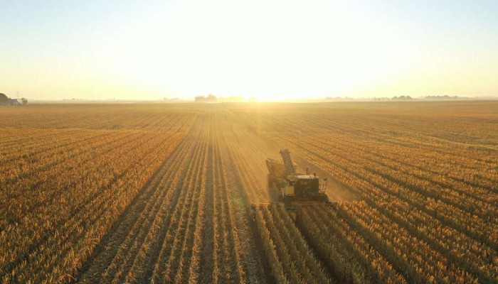 Harvest underway for Boone farmers