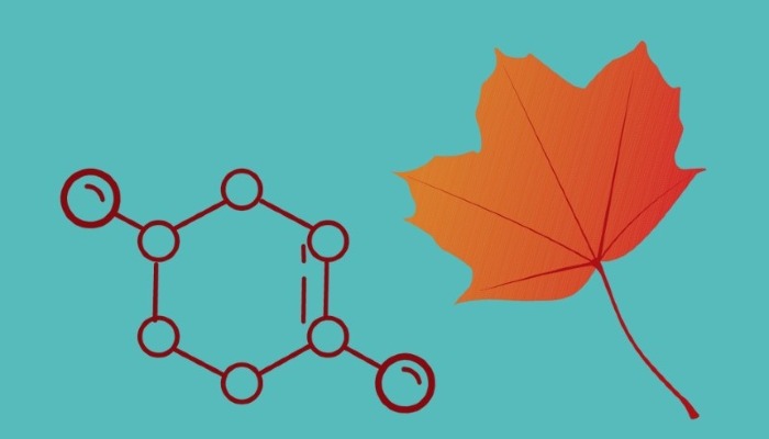 Fall’s hidden science