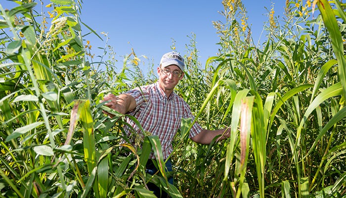 Cover crops provide an economical benefit 