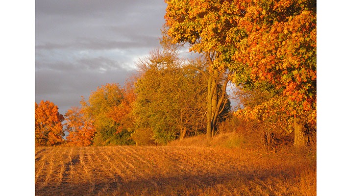 Iowa fall colors
