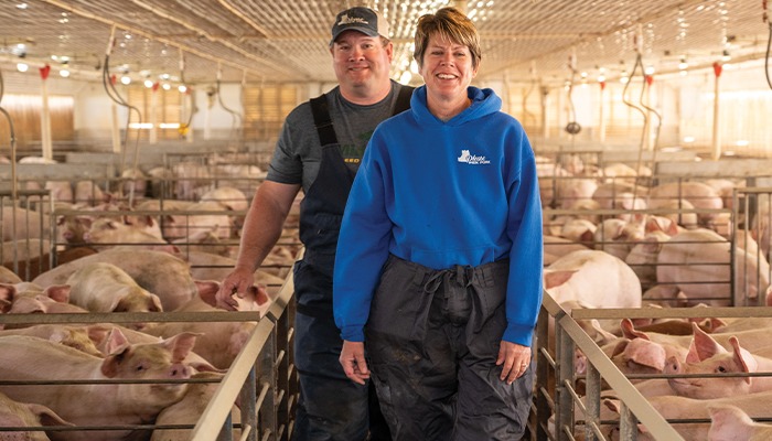 Festive holiday meats