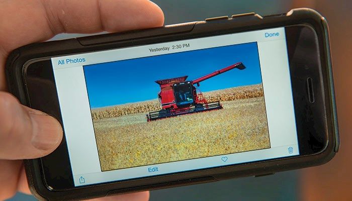  Stay safe while holiday shopping online