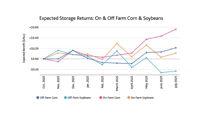 Mixed outlook for 2025 grain storage returns 