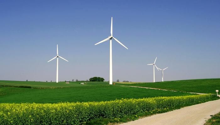 Snapshot of the Season