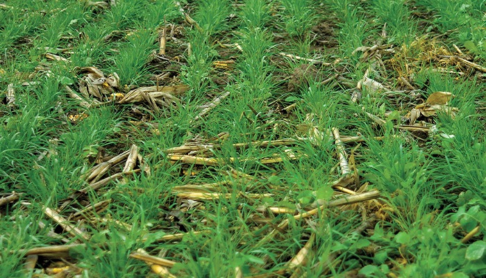 Sign-up open for Iowa’s crop insurance discount program 