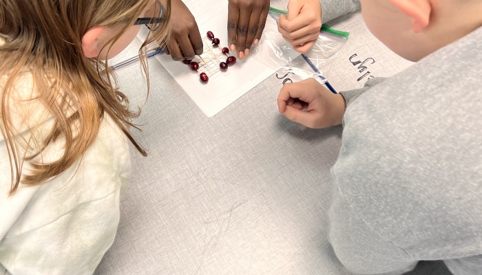 Ag in the Classroom update 