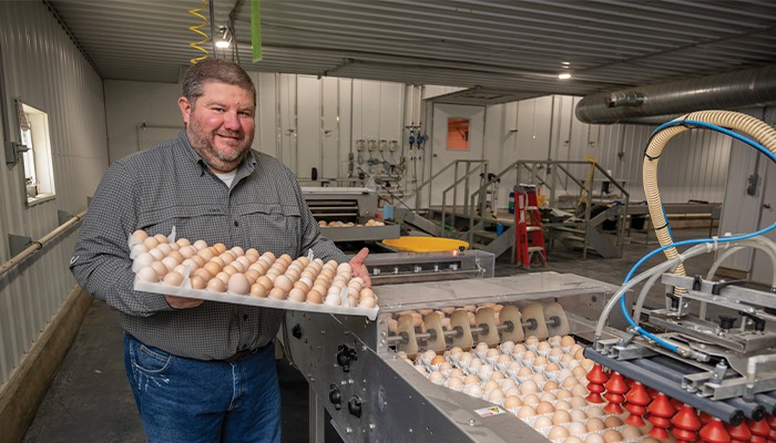 Costco chickens from an Iowa farm near you 