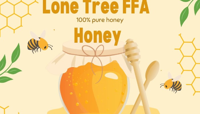 Lone tree Honey 