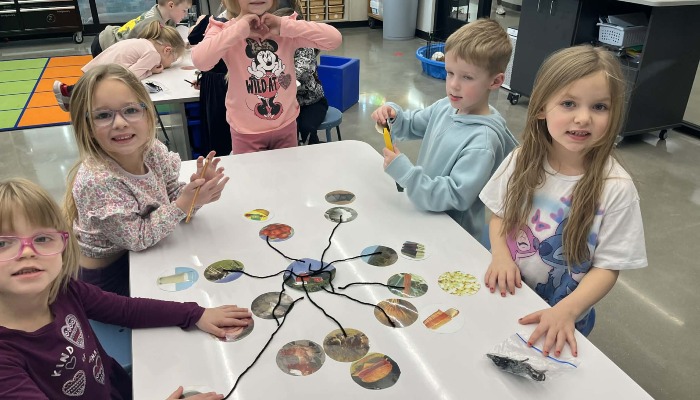 Lessons From Farm to Fork