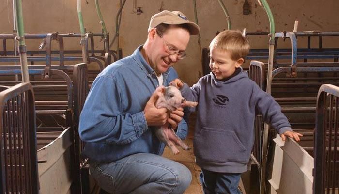 Iowa Hog Returns Update: December 2025