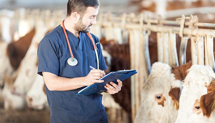Rural Veterinarian Incentive Program