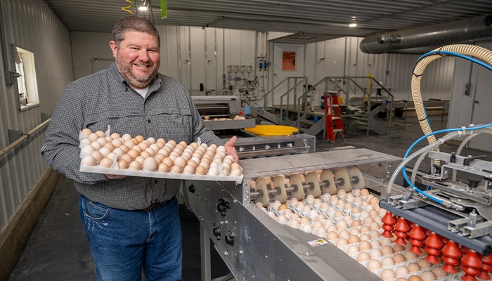 Costco poultry delivers stability for Iowa farmers 