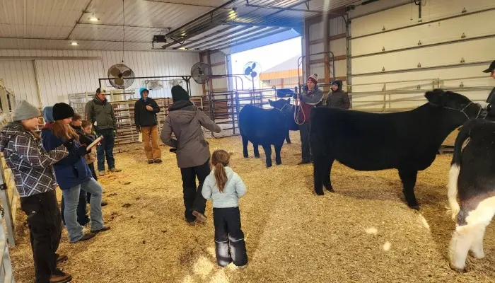 Pella Christian FFA livestock judging